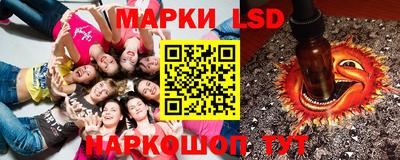 гашик Будённовск