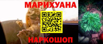 гашик Будённовск