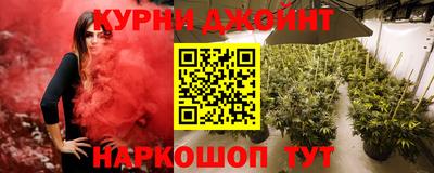гашик Будённовск