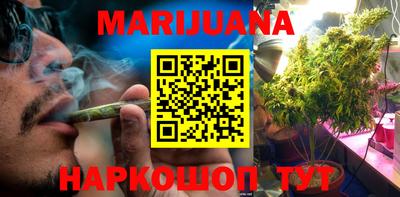 гашик Будённовск