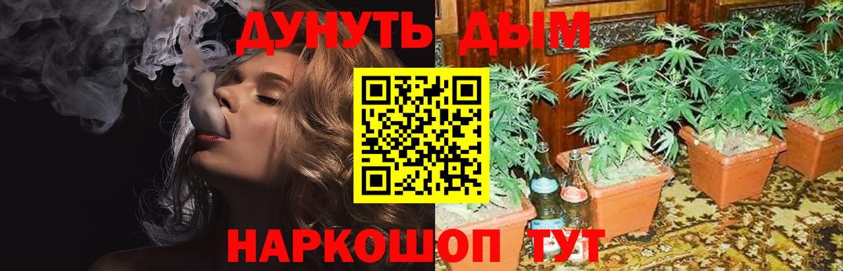 Бошки марихуана THC 21%  Бошки Шишки конопля  Вход с VPN  Марихуана LSD WEED  Морозовск 